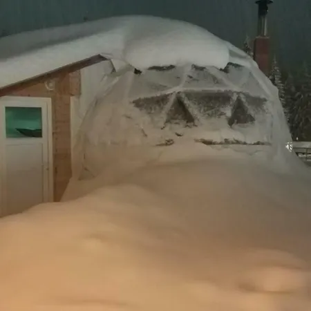 Igloo In The Woods - New, Warm And Inspiring *