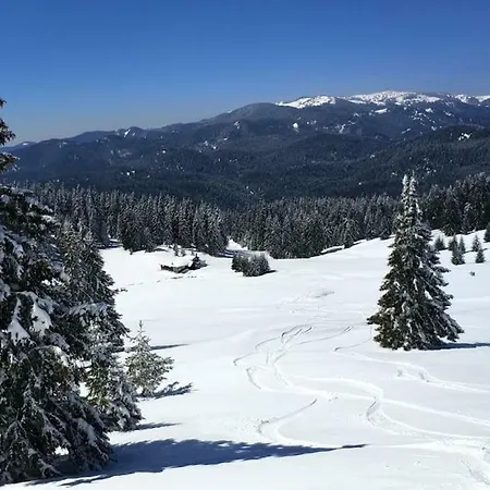 Igloo In The Woods - New, Warm And Inspiring * Пампорово