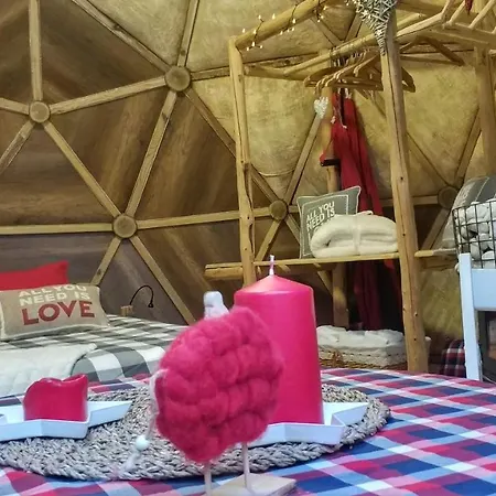Igloo In The Woods - New, Warm And Inspiring