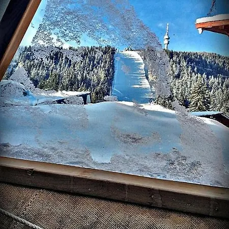 Луксозна палатка Igloo In The Woods - New, Warm And Inspiring